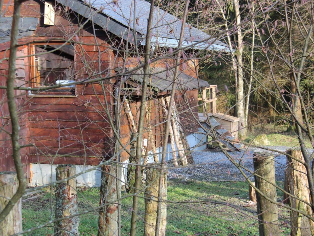 Chalet Rustic Chalet Ultimate Relaxation In The Forest Sourbrodt