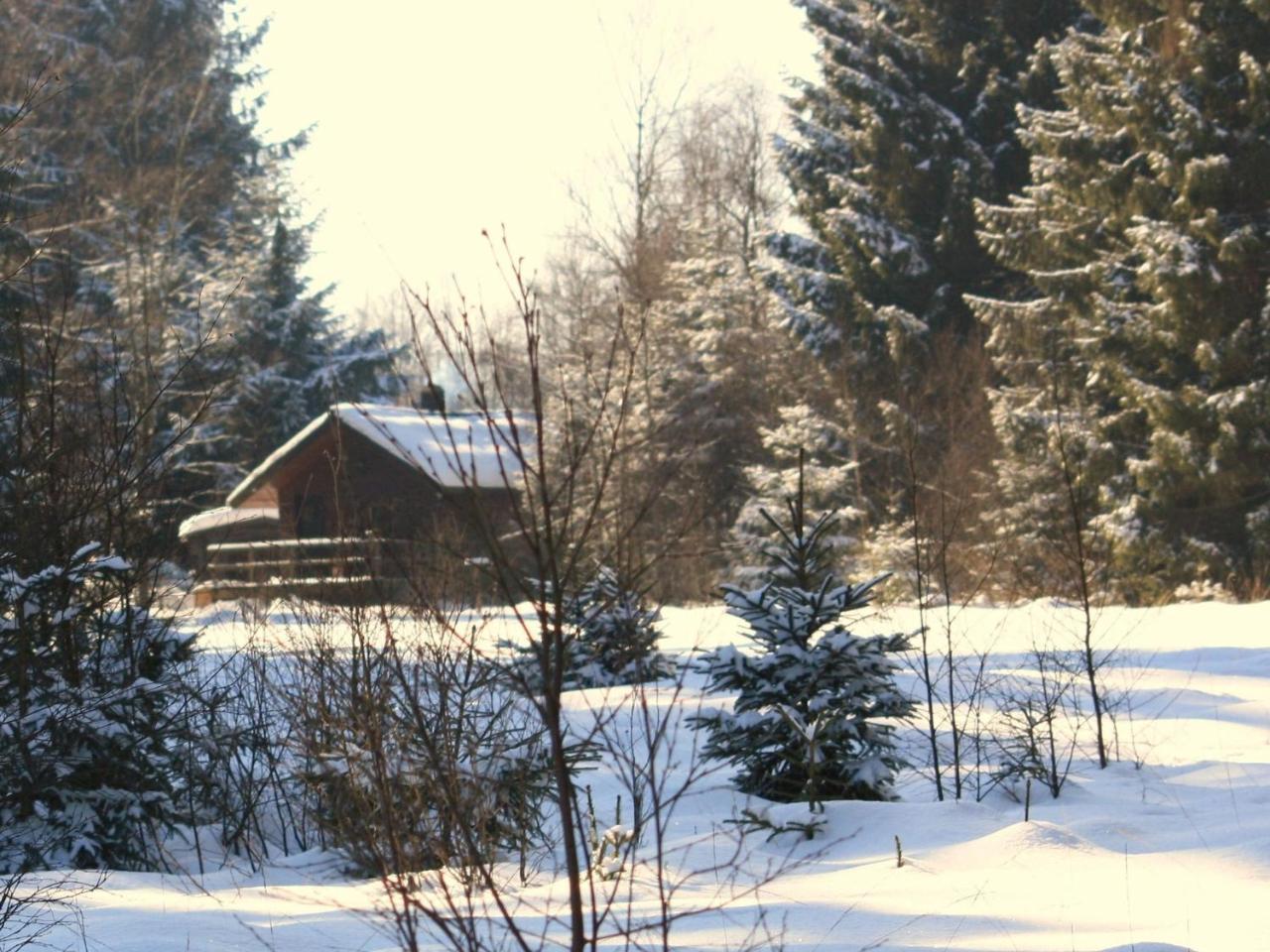 Rustic Chalet Ultimate Relaxation In The Forest